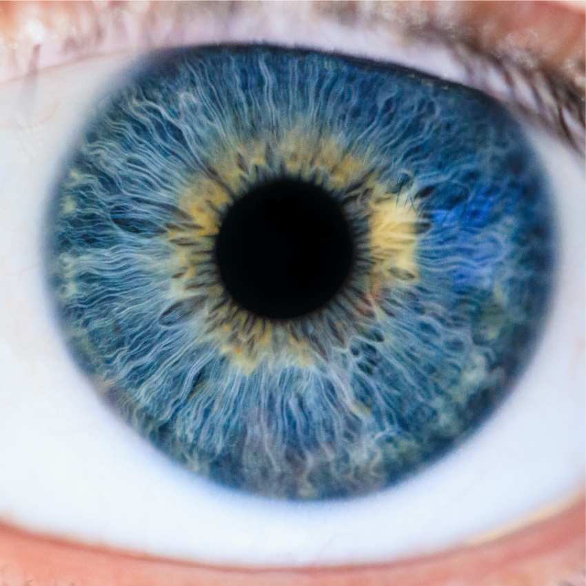 Close-up of a blue human eye with intricate details of the iris and pupil.
