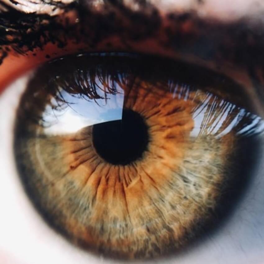 Close-up of a brown and hazel eye, with detailed iris and reflections of light.